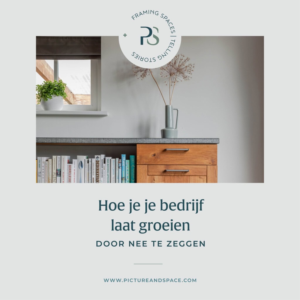 Immagine di intestazione per il blog: Come far crescere la tua azienda dicendo DI NO. Sul fondo un mobile con libri e un vaso verde con Allium essiccati.